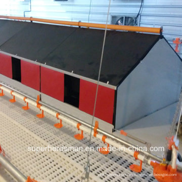 Autoamtic Nest for Breeder Poultry Farm